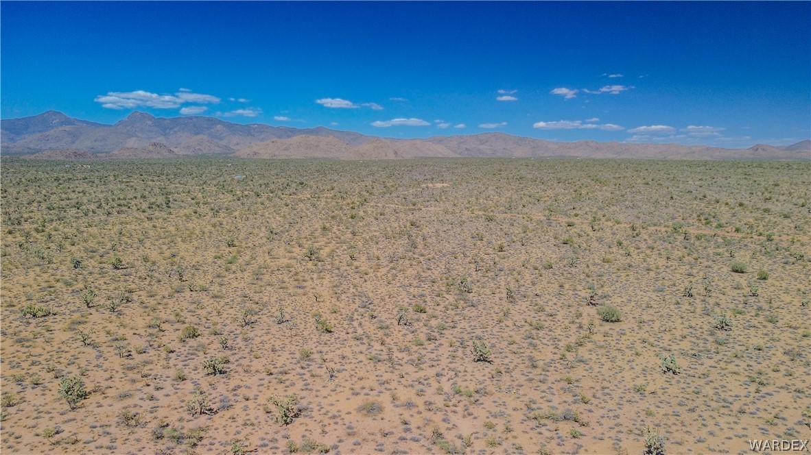 169 South Cattle Crossing Road Yucca, AZ 86438 - Photo 9 of 13