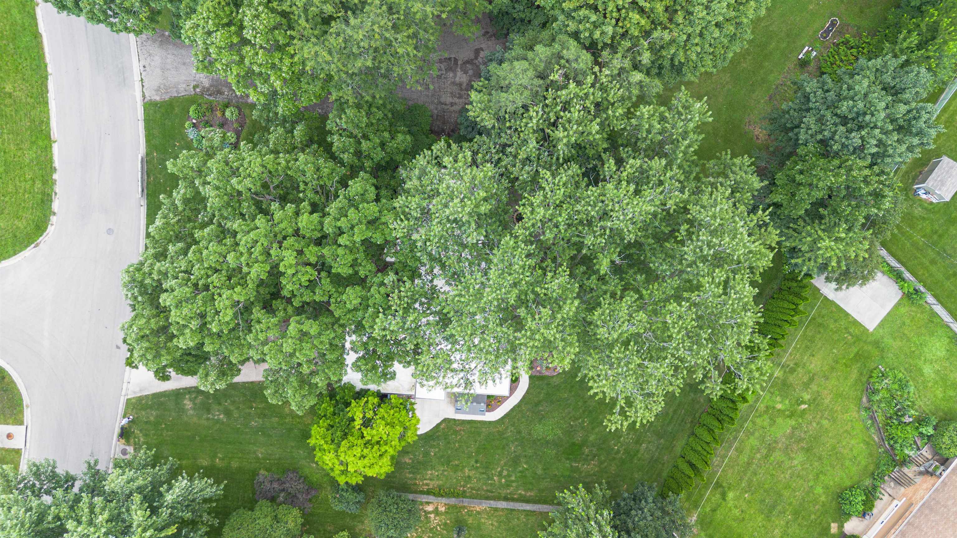 4609 Brookview Road Rockford, IL 61107 - Photo 44 of 44 a view of a yard with plants