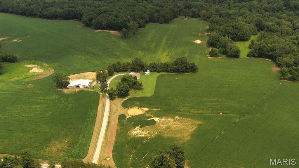 920 South Poplar Camp Road Makanda, IL 62958 - Photo 3 of 53