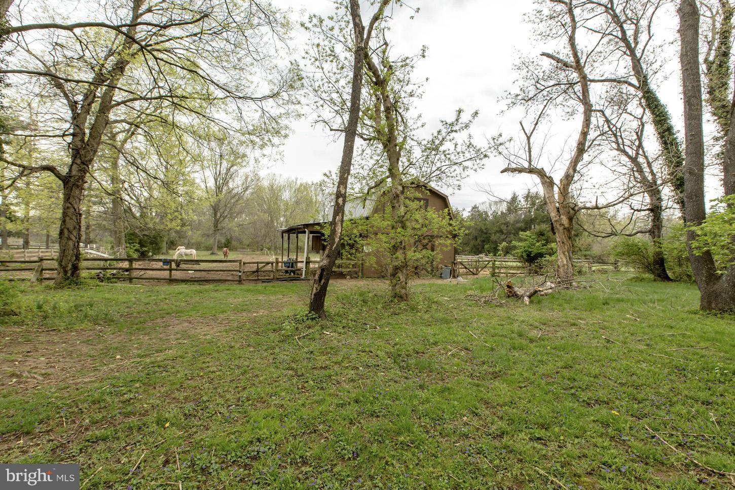 19410 Youngs Cliff Road Sterling, VA 20165 - Photo 22 of 29 Barn