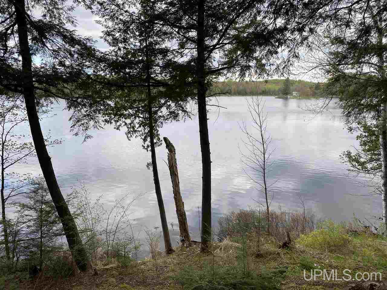 On On Chaney Cove Road, Unit LOT 1 Bessemer, MI 49911 - Photo 2 of 28