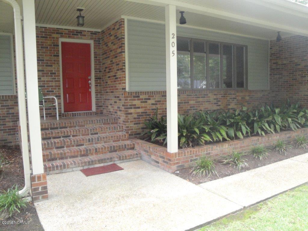 205 Ravenswood Road Hampstead, NC 28443 - Photo 3 of 38 03