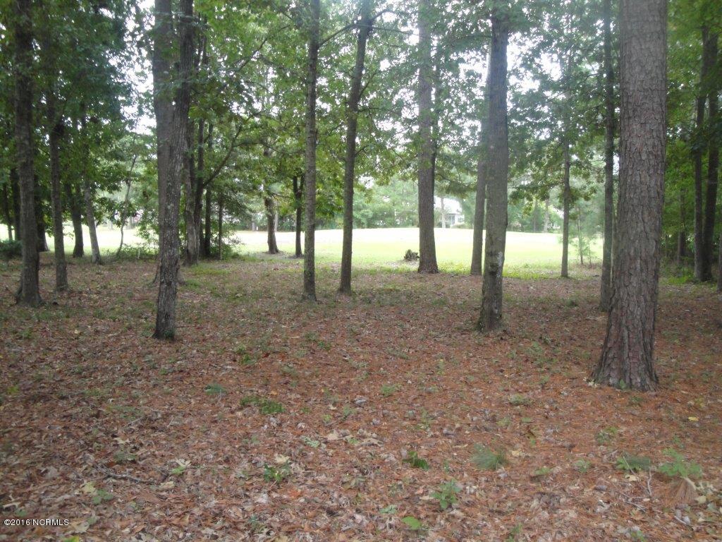 205 Ravenswood Road Hampstead, NC 28443 - Photo 35 of 38 37