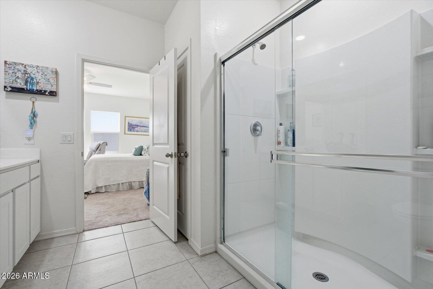 47661 West Old Timer Road Maricopa, AZ 85139 - Photo 16 of 24 Primary bath