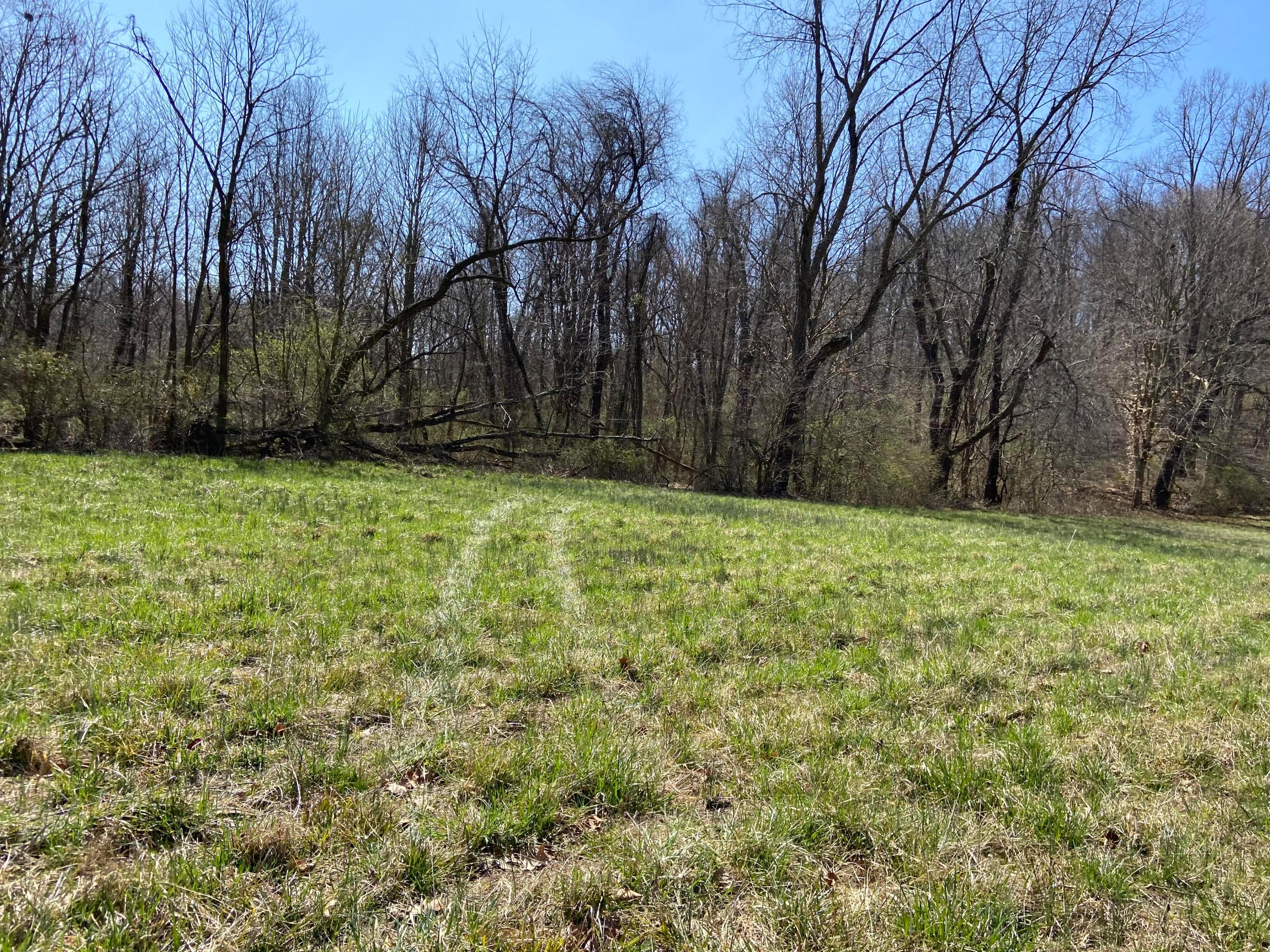 0 Sandy Road Chillicothe, OH 45601 - Photo 5 of 10 Gallery Image 5