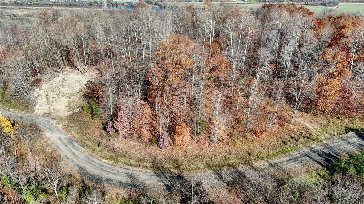 Sparling Road Waterford, OH 45786 - Photo 28 of 30 Drone / aerial view