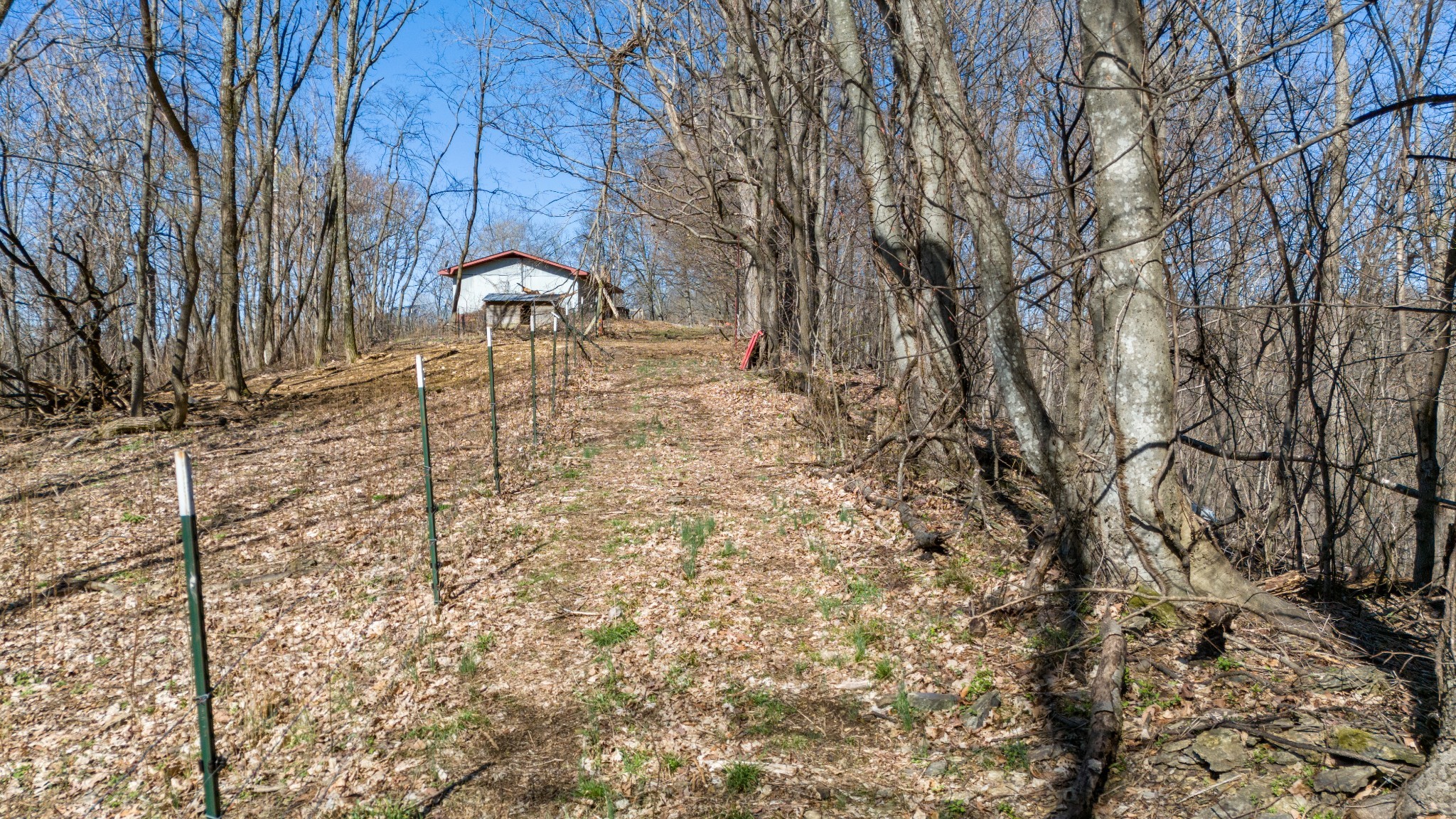 1480 Gravel Hill Road Bethpage, TN 37022 - Photo 15 of 26 a backyard of a house with lots of green space