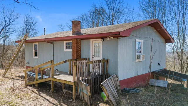 a view of a dry yard with green space