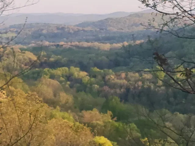 a view of a outdoor space