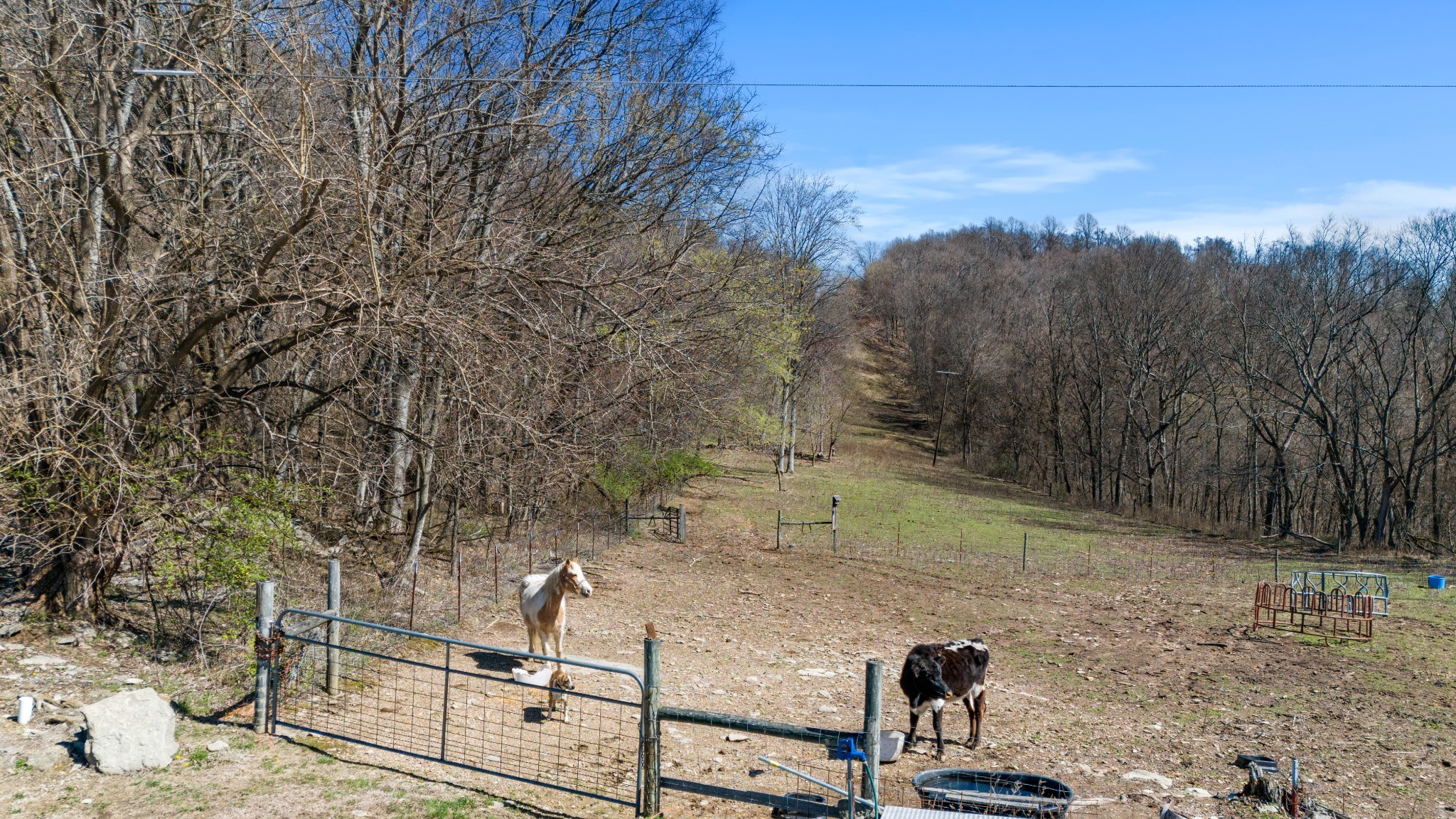 1480 Gravel Hill Road Bethpage, TN 37022 - Photo 23 of 26 a view of a yard