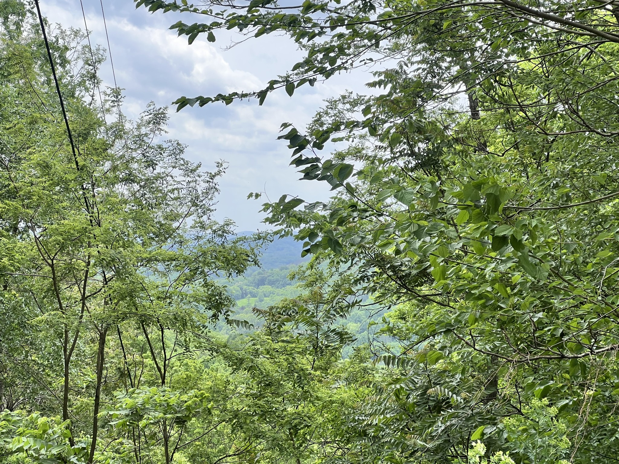 1480 Gravel Hill Road Bethpage, TN 37022 - Photo 4 of 26 a view of a lake in a forest