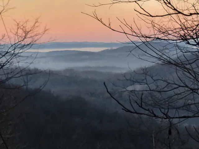 a view of a house with a yard and trees