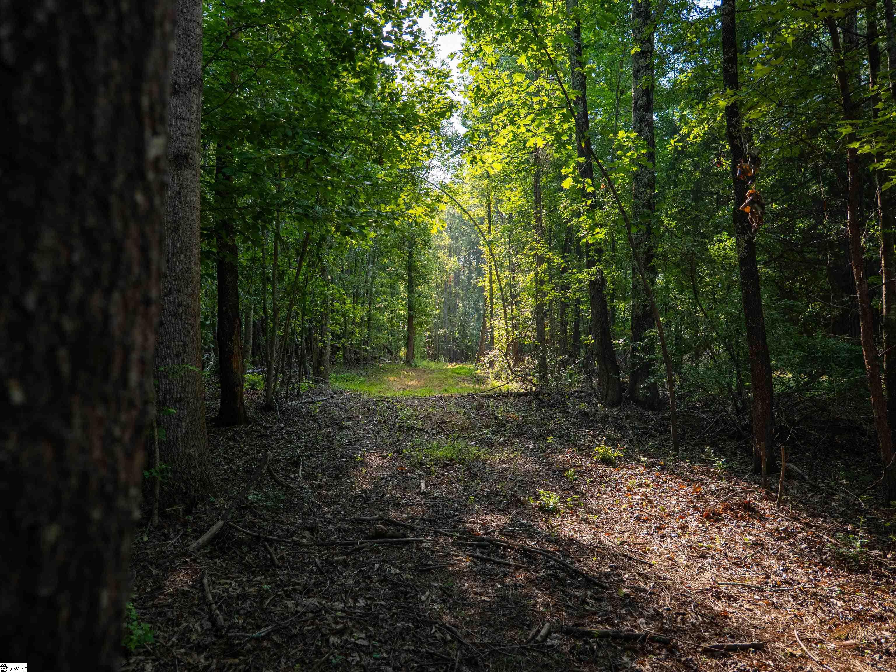 19 Goldmine Road Spartanburg, SC 29302 - Photo 9 of 26