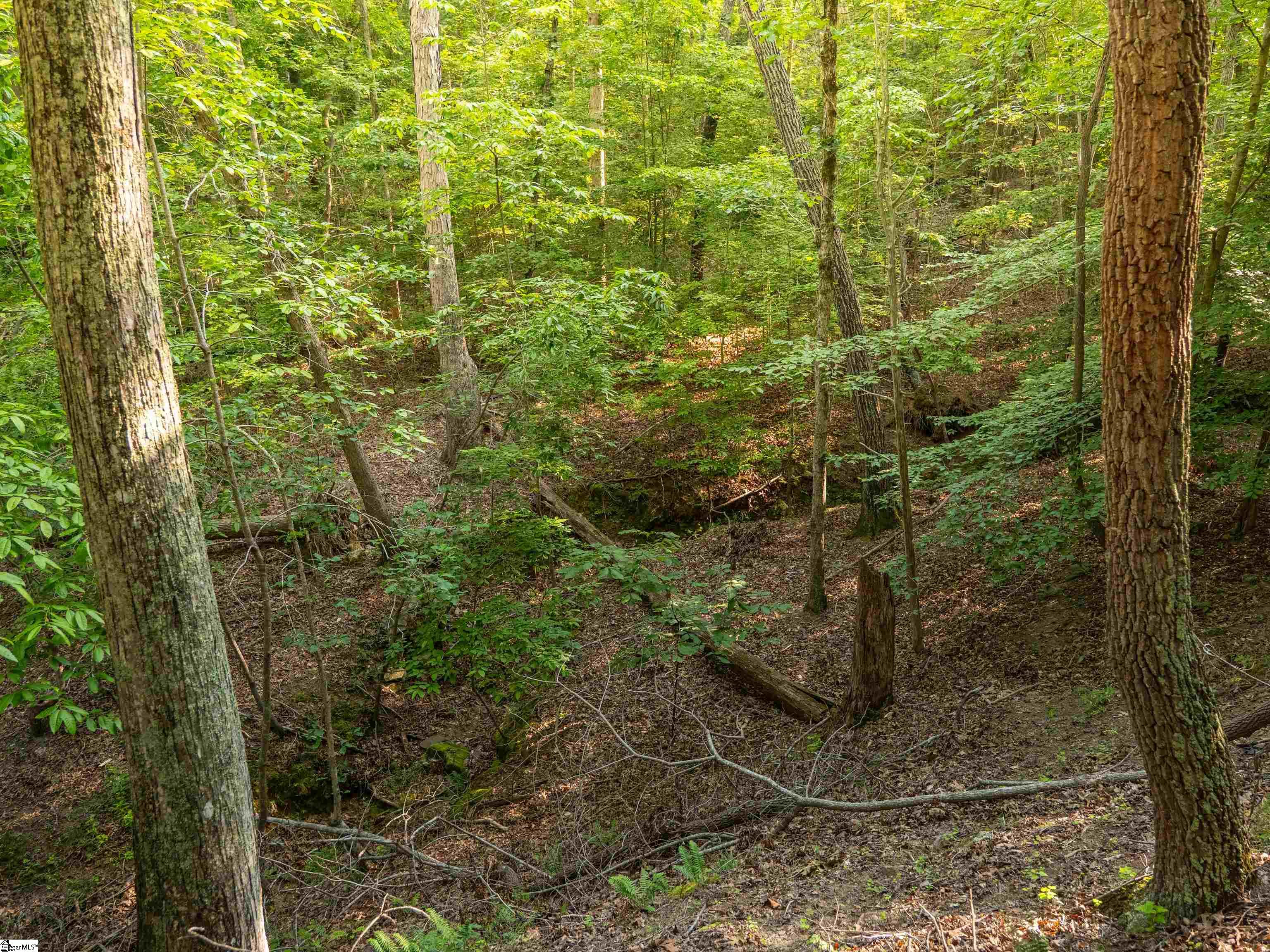 19 Goldmine Road Spartanburg, SC 29302 - Photo 10 of 26