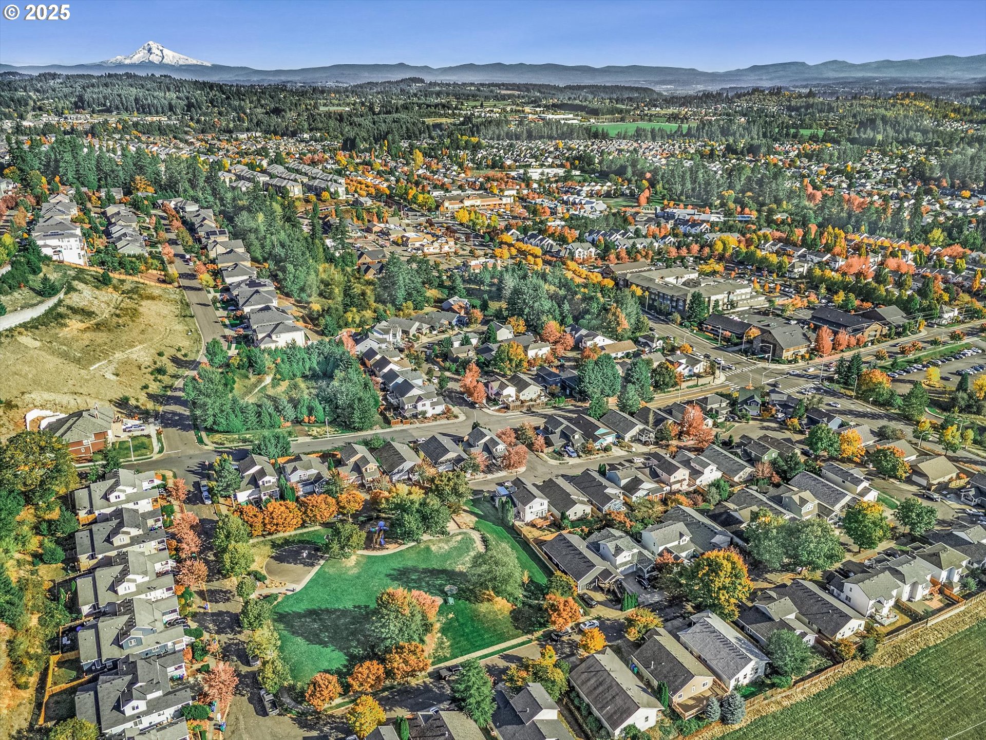 14029 Southeast Summerfield Loop Happy Valley, OR 97086 - Photo 35 of 47 an aerial view of residential houses with outdoor space and trees