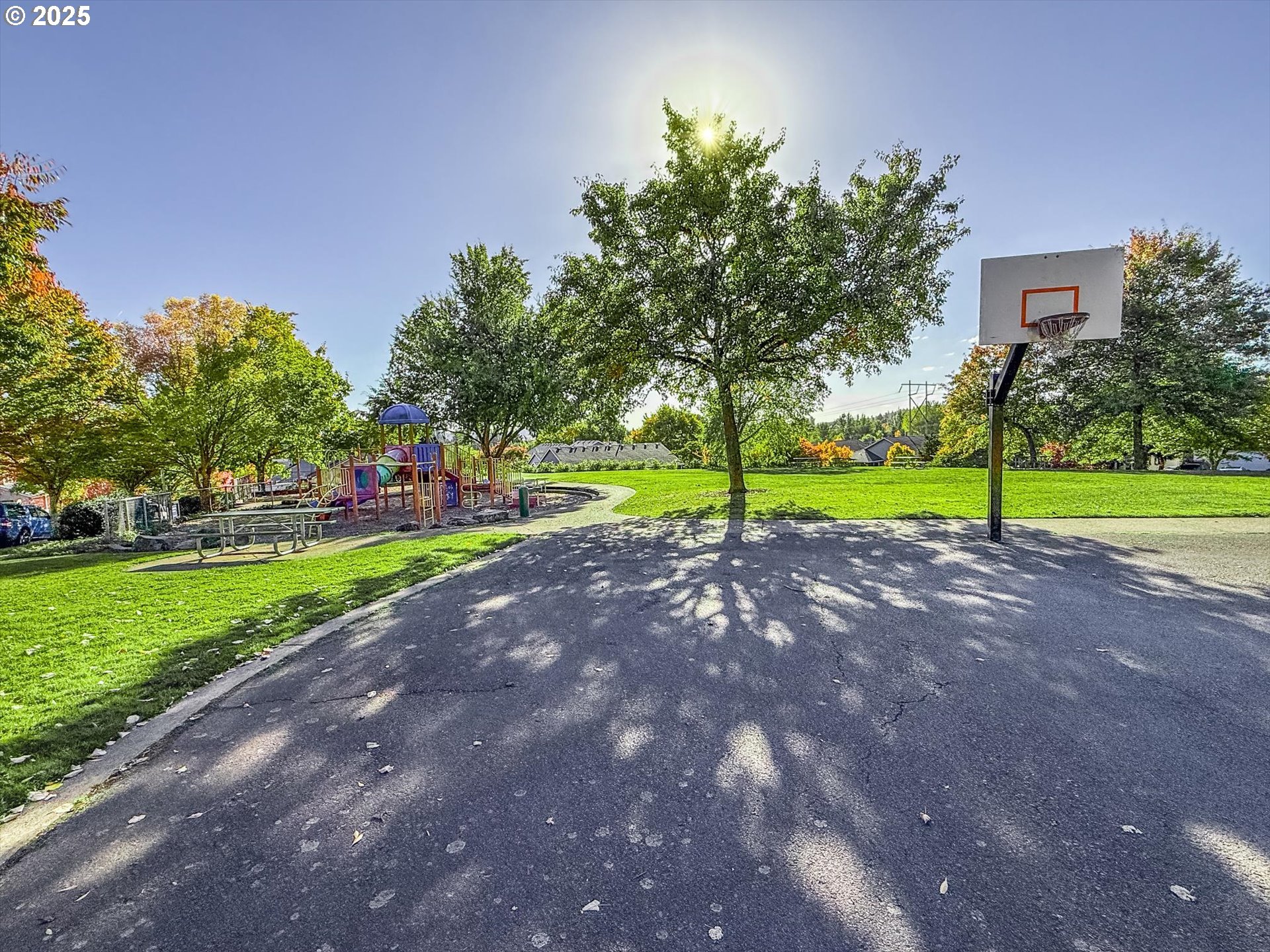 14029 Southeast Summerfield Loop Happy Valley, OR 97086 - Photo 45 of 47 a view of outdoor space with garden and trees