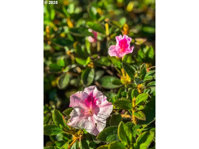 $524,950 | 14029 Southeast Summerfield Loop, Happy Valley, OR 97086