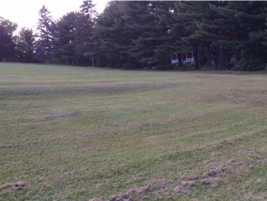 0 Hilltop Road Sanbornville, NH 03872 - Photo 2 of 4 Gallery Image 2