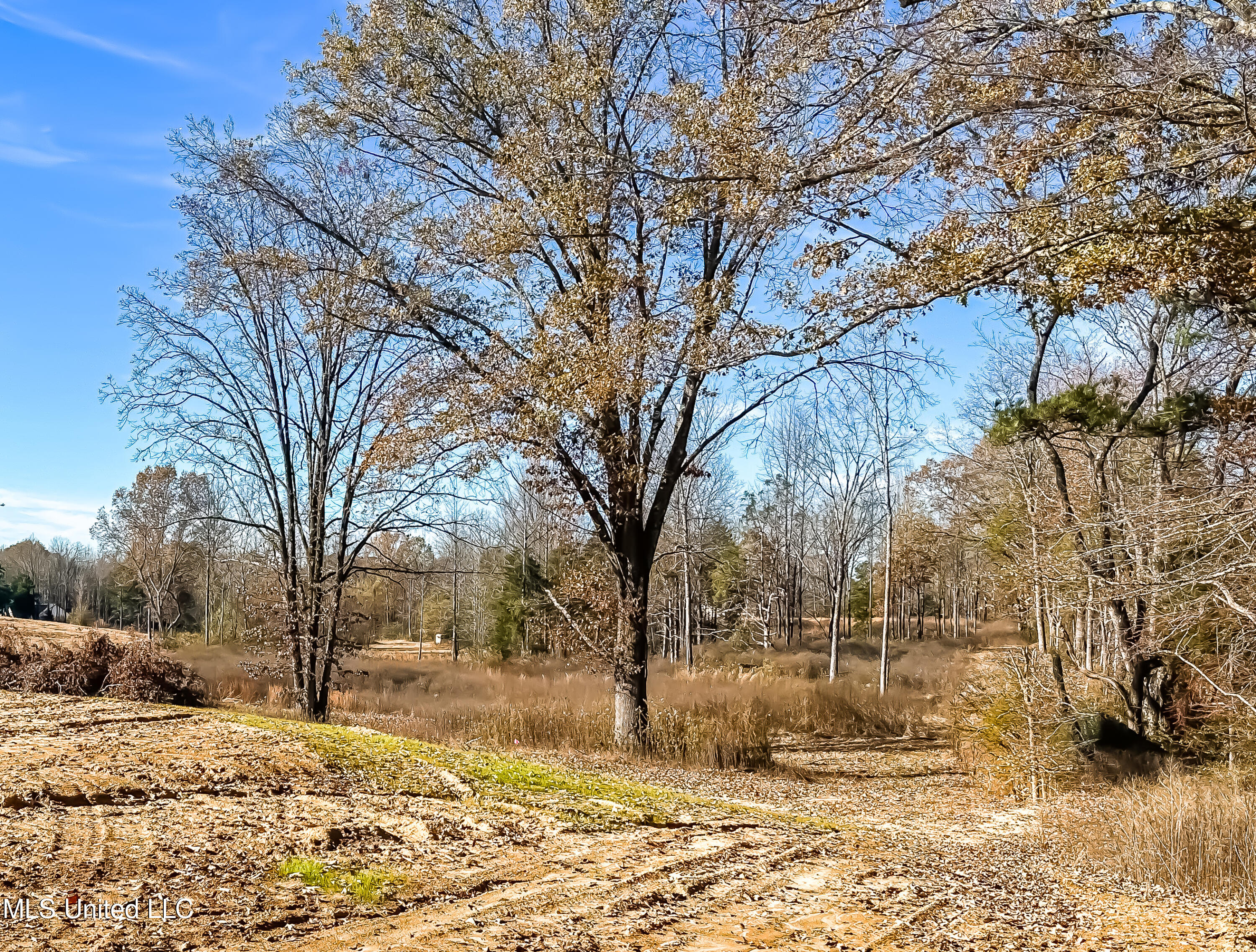 Belmont Road Hernando, MS 38632 - Photo 12 of 20 Belmont Lot Looking South West