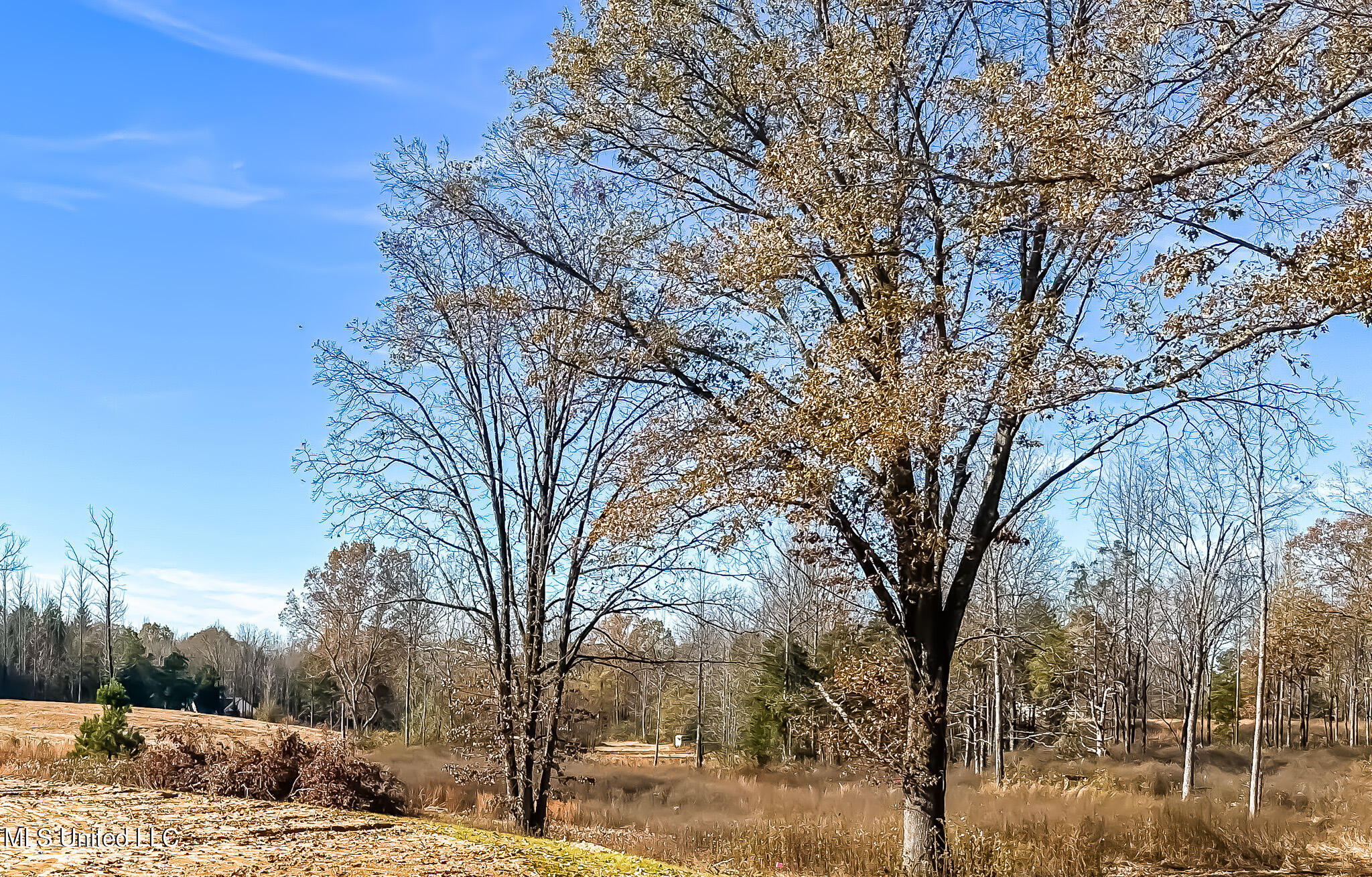 Belmont Road Hernando, MS 38632 - Photo 16 of 20 Belmont Lot Looking South West