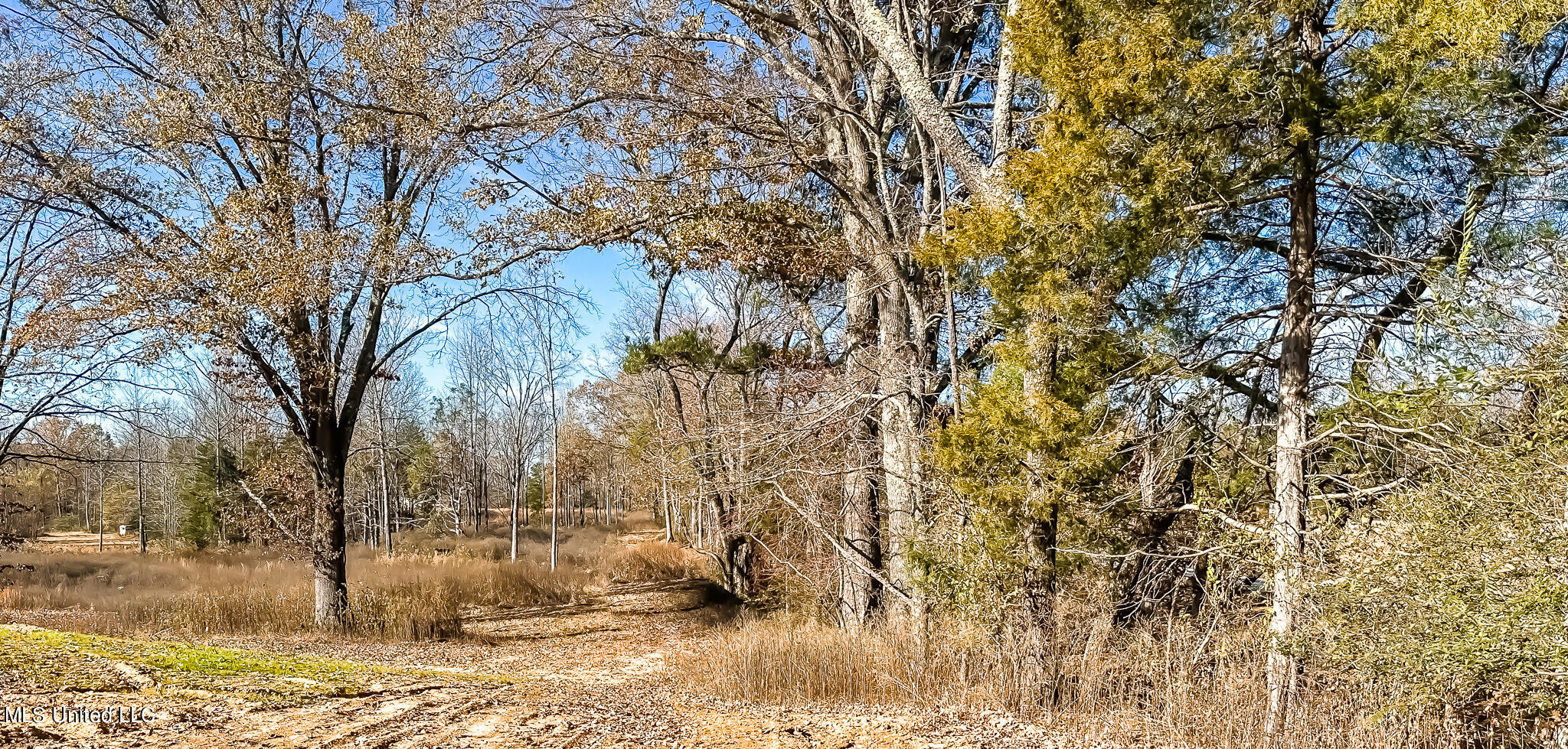 Belmont Road Hernando, MS 38632 - Photo 19 of 20 Belmont Lot Looking West