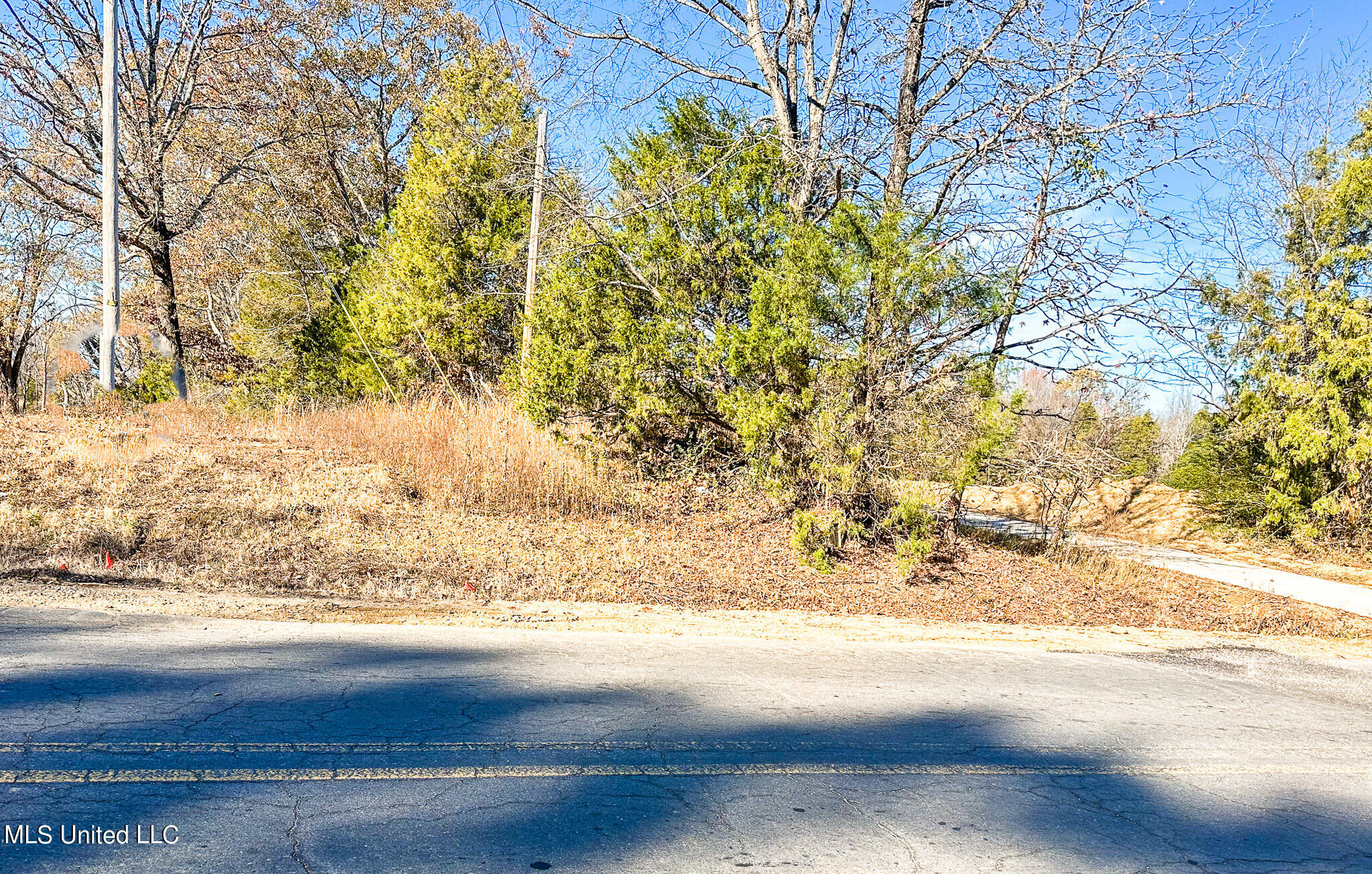 Belmont Road Hernando, MS 38632 - Photo 8 of 20 From Belmont Road