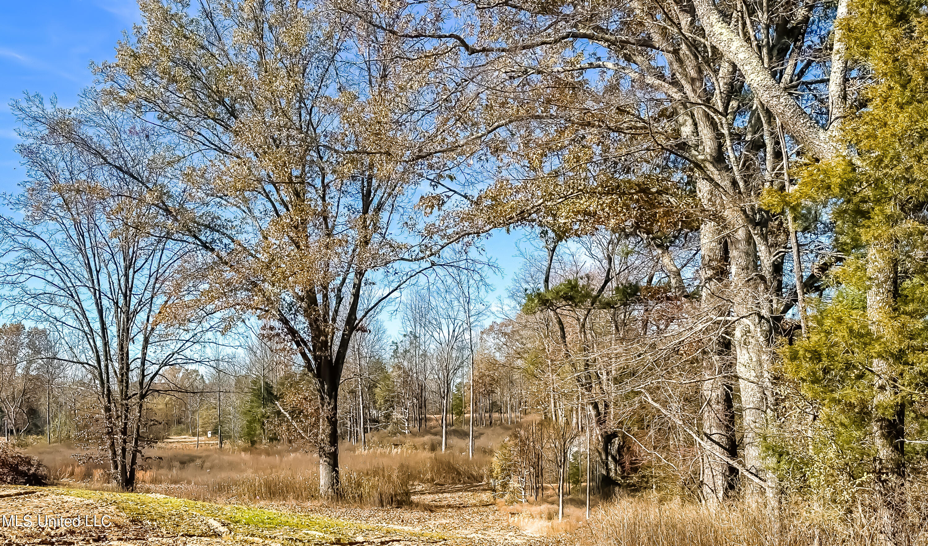 Belmont Road Hernando, MS 38632 - Photo 10 of 20 Belmont Lot Looking South West