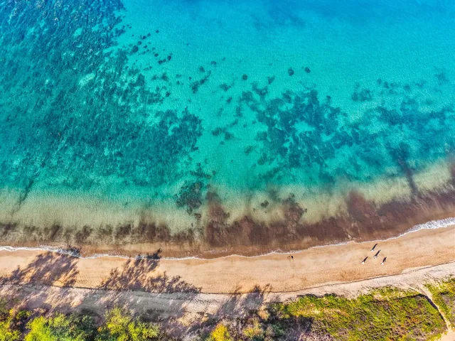 $1,200,000 | 264 Palanehe Street, Kihei, HI 96753