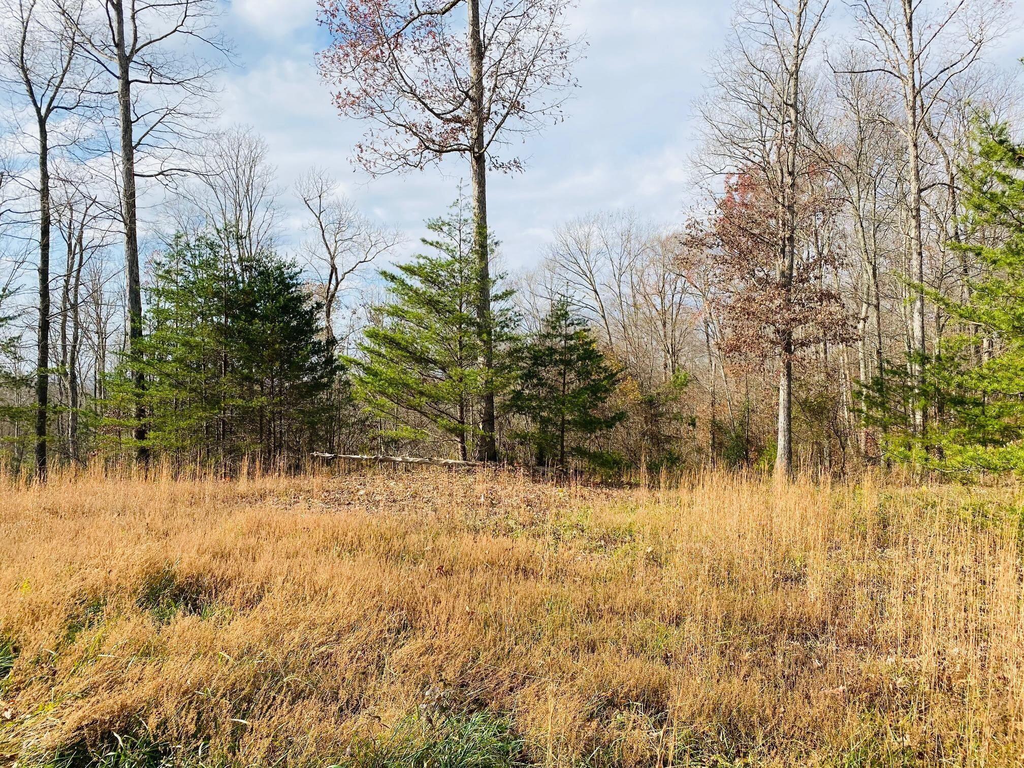 1 Stearns Holw Road Monticello, KY 42633 - Photo 5 of 16 20201123184332557827000000-o