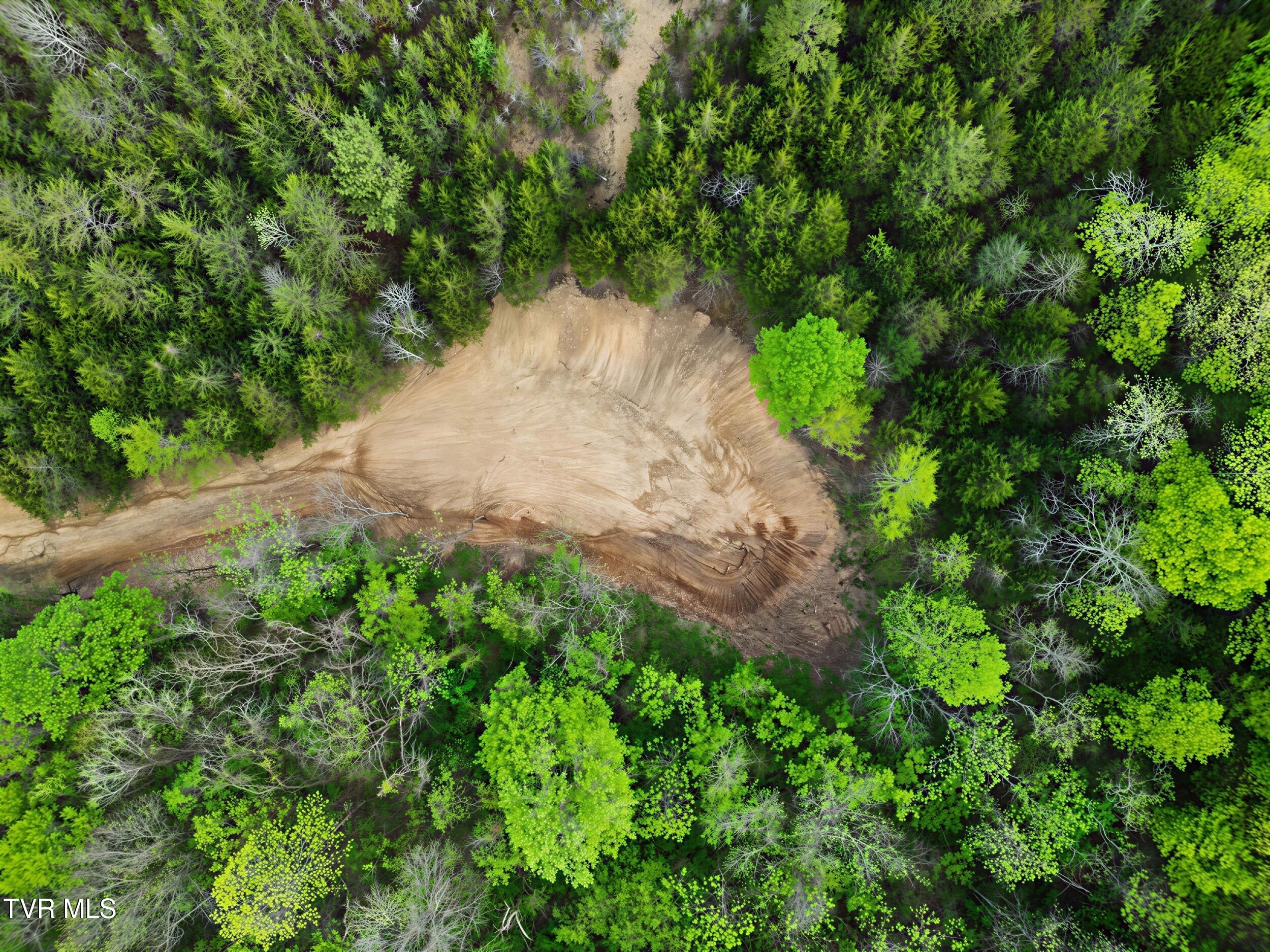 2692 Bear Creek Road Bybee, TN 37713 - Photo 19 of 25 4_5