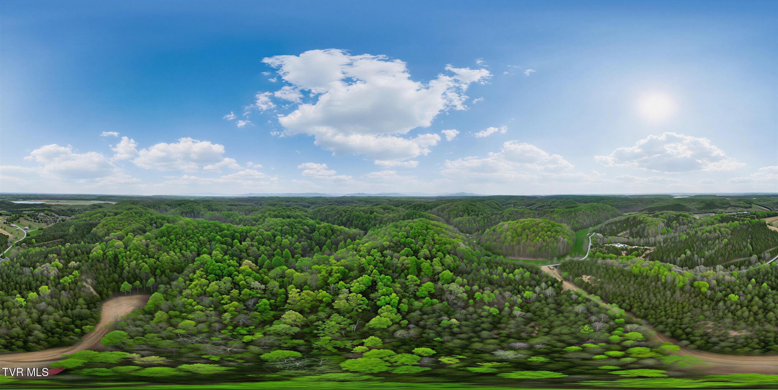 2692 Bear Creek Road Bybee, TN 37713 - Photo 23 of 25 18_3