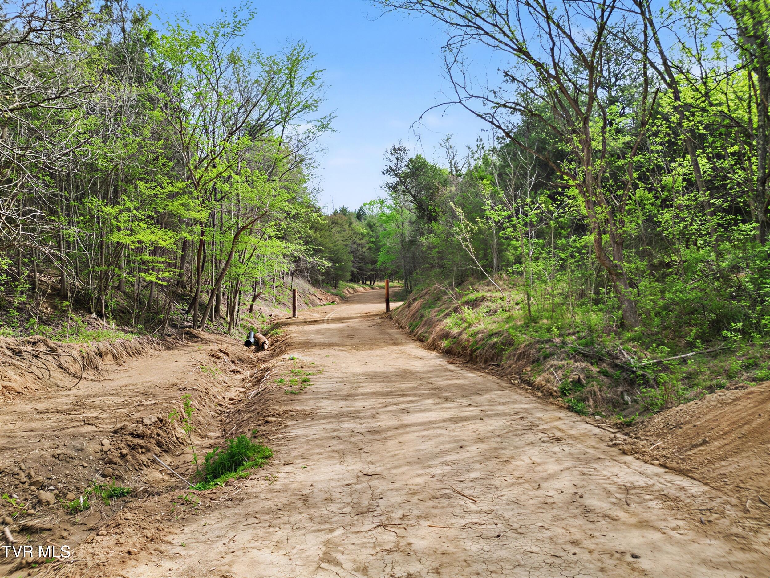 2692 Bear Creek Road Bybee, TN 37713 - Photo 4 of 25 9_14