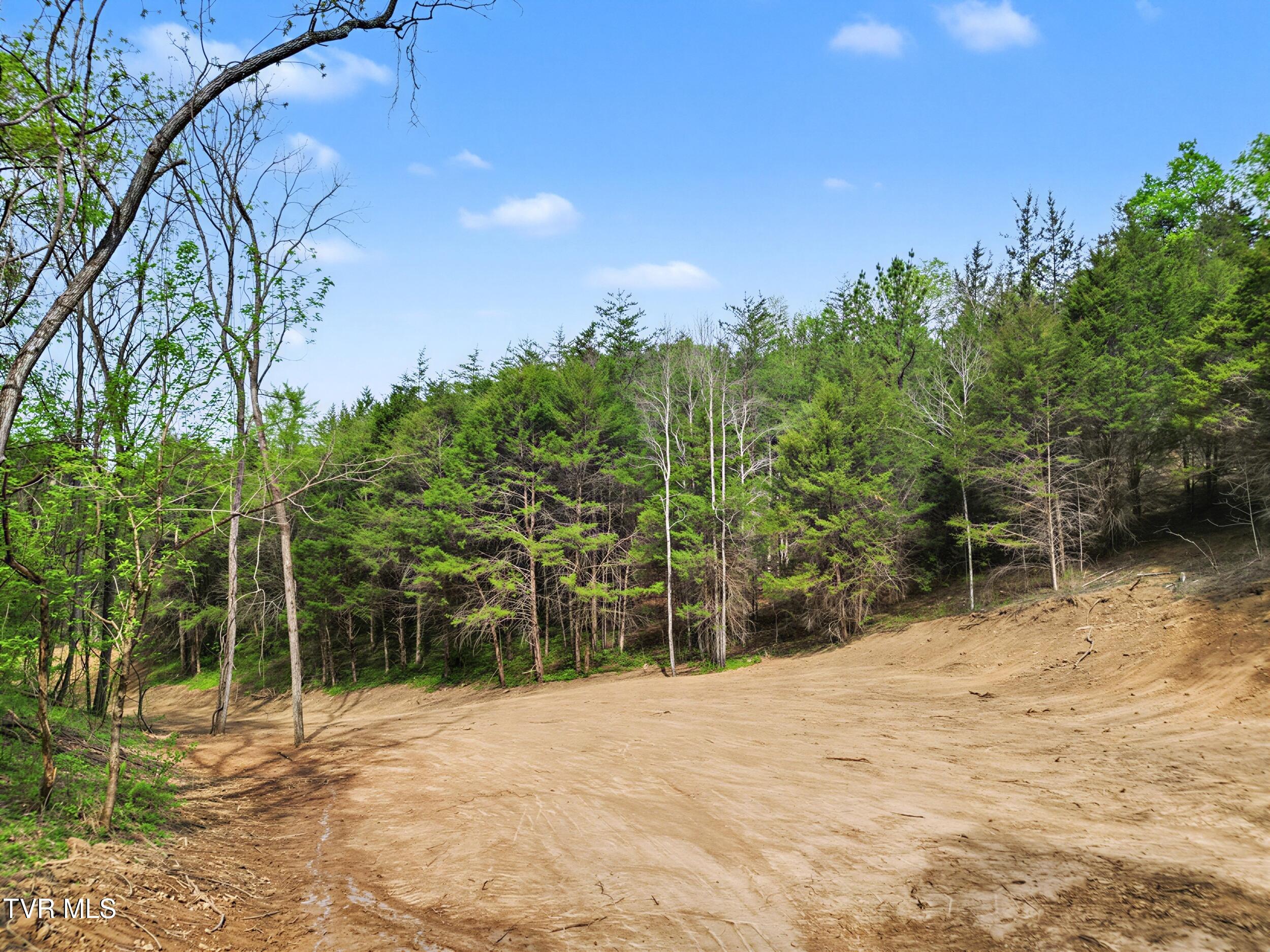 2692 Bear Creek Road Bybee, TN 37713 - Photo 5 of 25 24_24