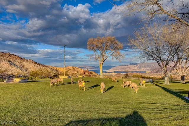 $375,000 | 233 Bighorn Drive, Boulder City, NV 89005