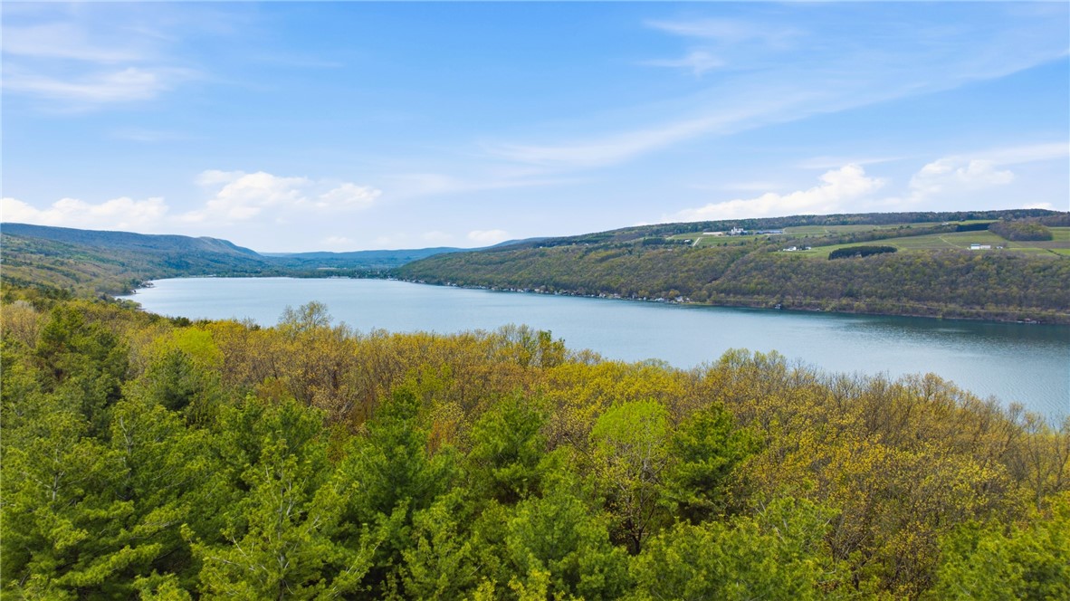 Silvernail Road Hammondsport, NY 14840 - Photo 17 of 25