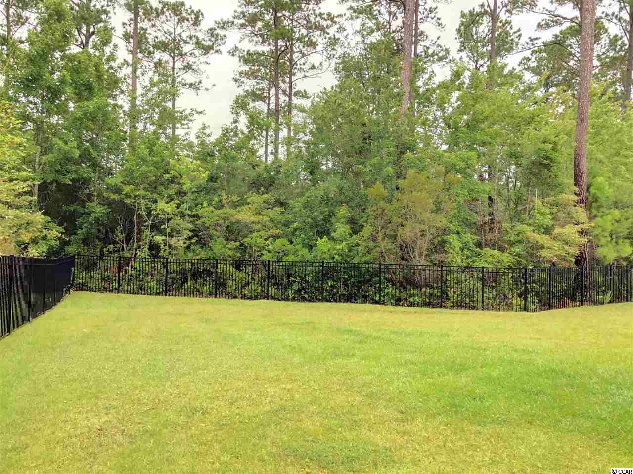 310 Simplicity Drive Murrells Inlet, SC 29576 - Photo 23 of 23