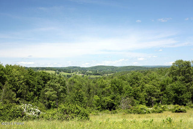 New Turnpike Road Cochecton, NY 12726 - Photo 8 of 9