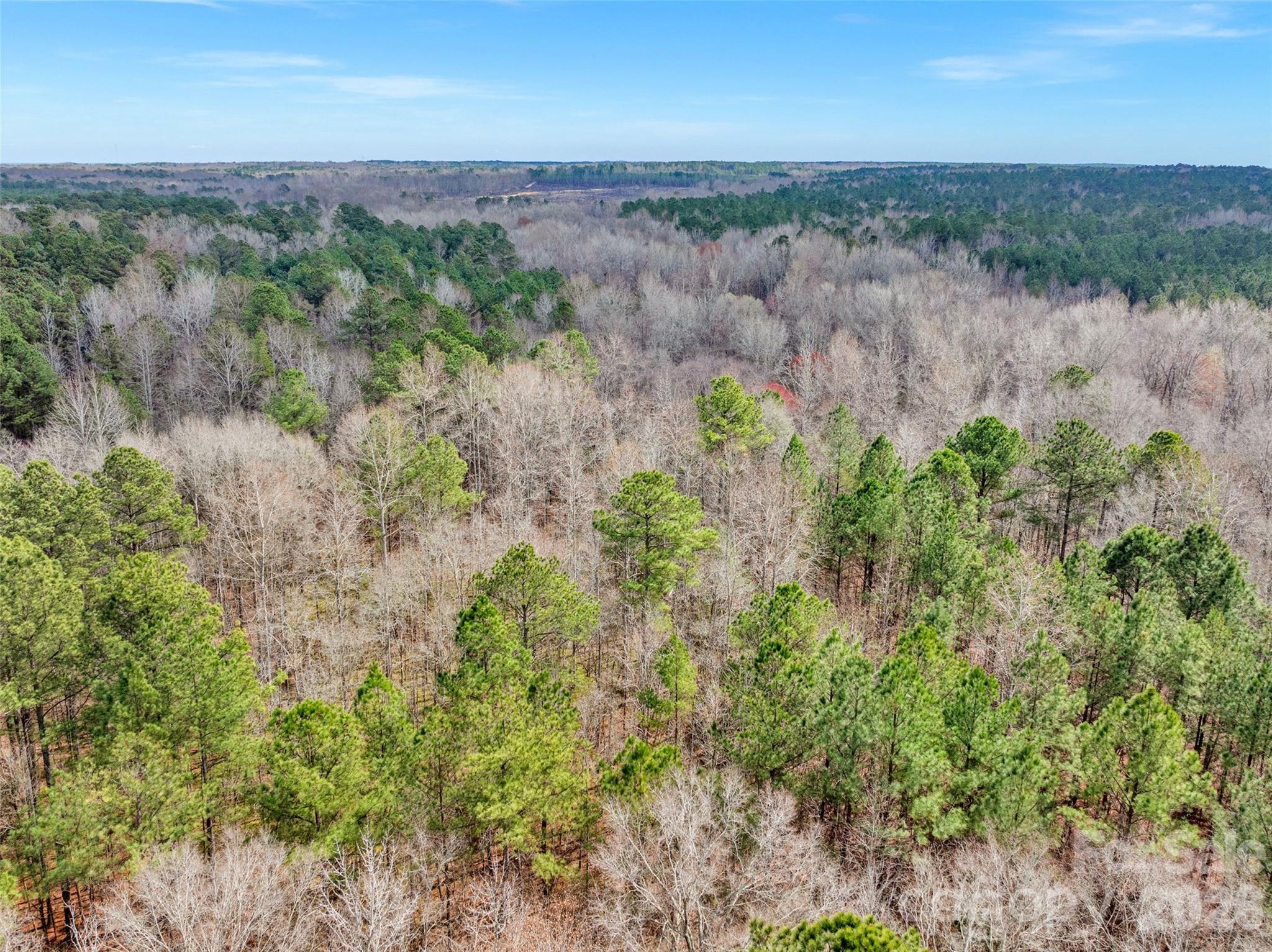 0 Coldstream Road Heath Springs, SC 29058 - Photo 6 of 31 Gallery Image 6
