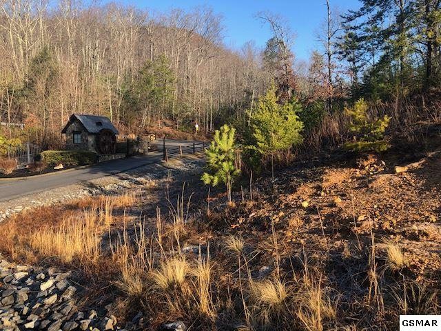 116 Summit Trails Drive Sevierville, TN 37862 - Photo 7 of 13