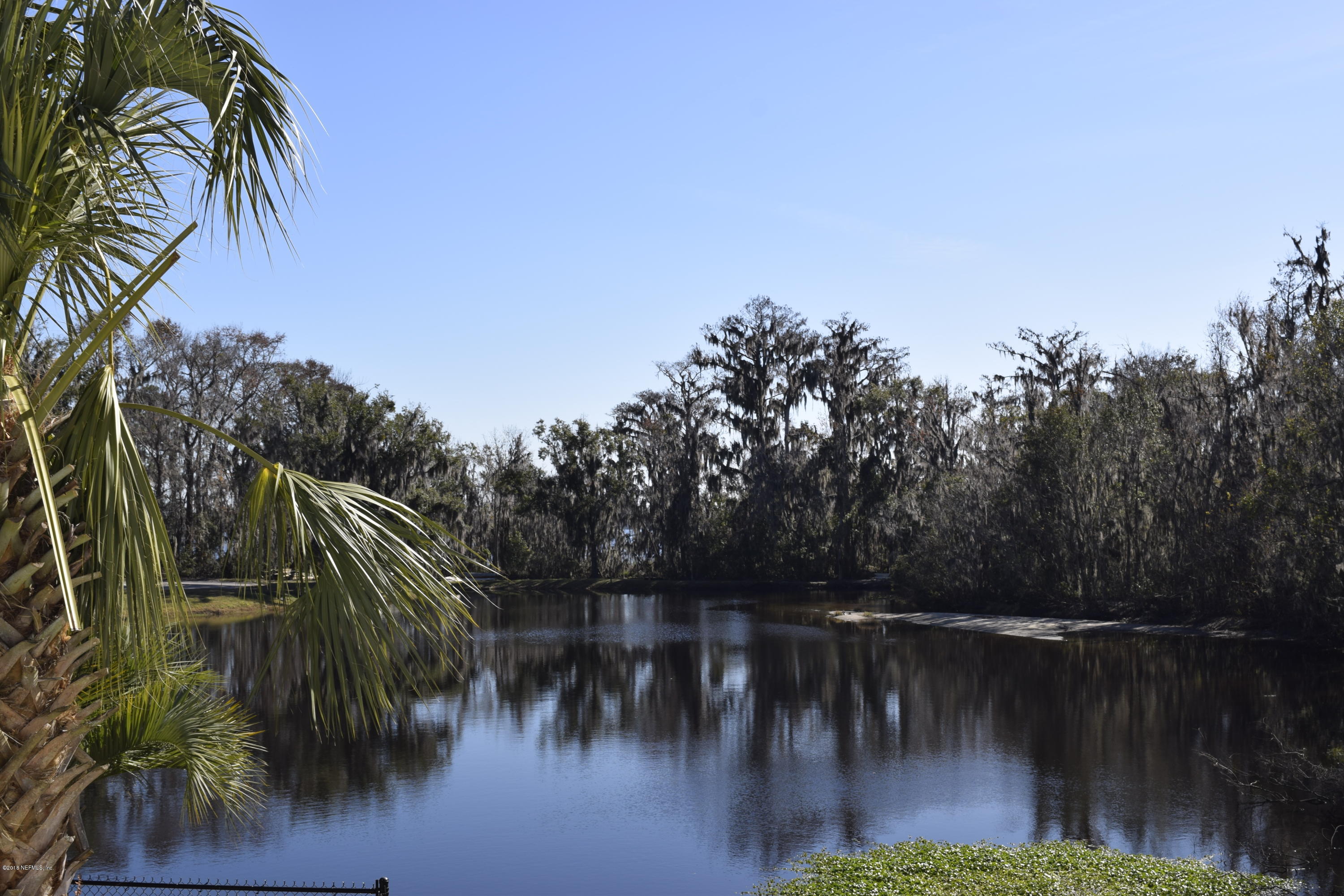 3569 Sheldon Road Orange Park, FL 32073 - Photo 74 of 85 pond in back