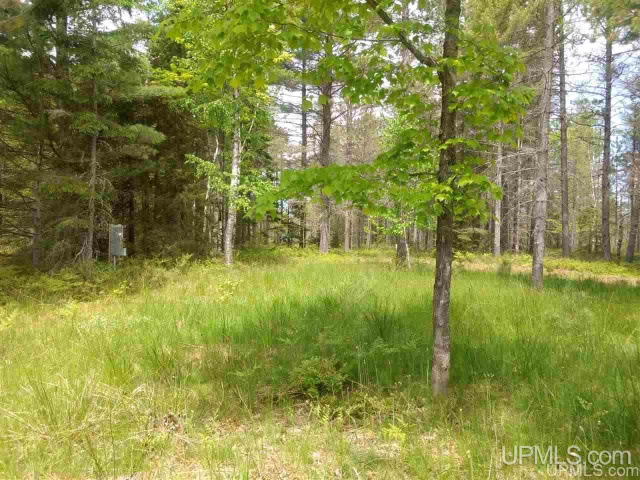 Tbd Rice Landing Road, Unit 13 Lake Linden, MI 49945 - Photo 13 of 35