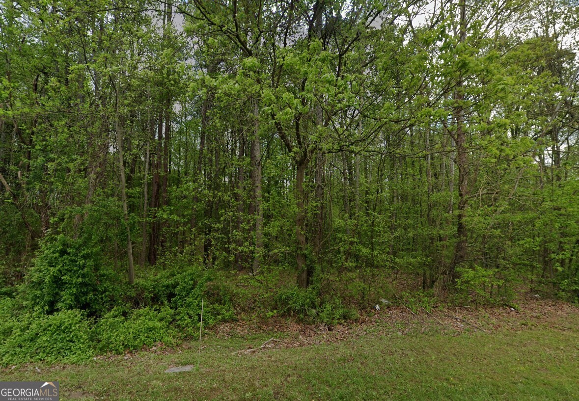 2843 Macland Road Dallas, GA 30157 - Photo 2 of 8 a view of a lush green forest