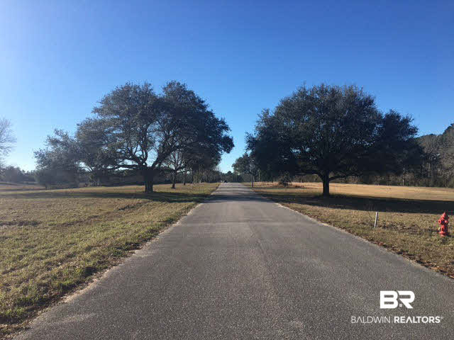 0 Balsam Creek Drive Foley, AL 36535 - Photo 4 of 4 St. View West