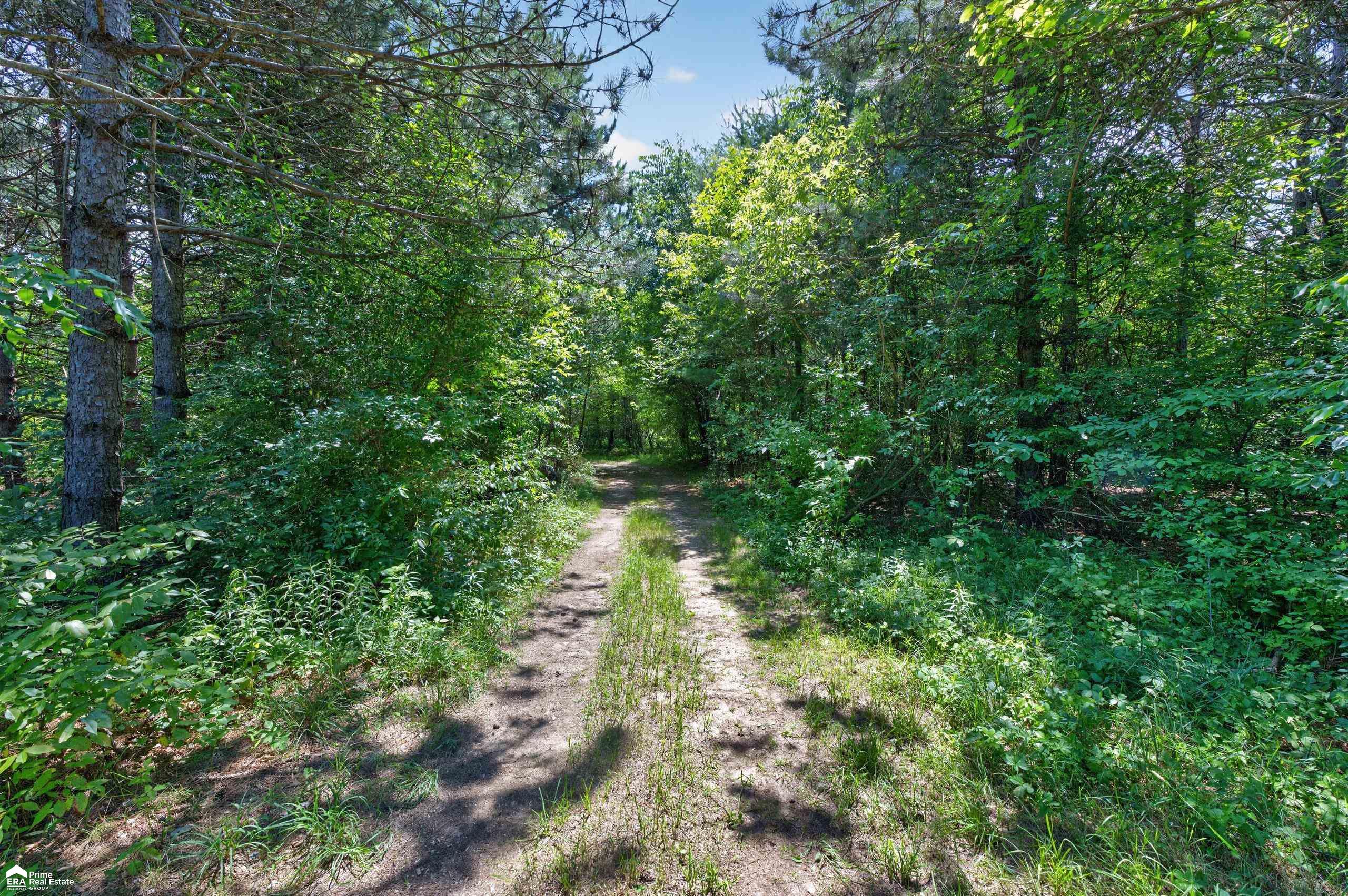 5498 Piersonville Road Columbiaville, MI 48421 - Photo 10 of 38