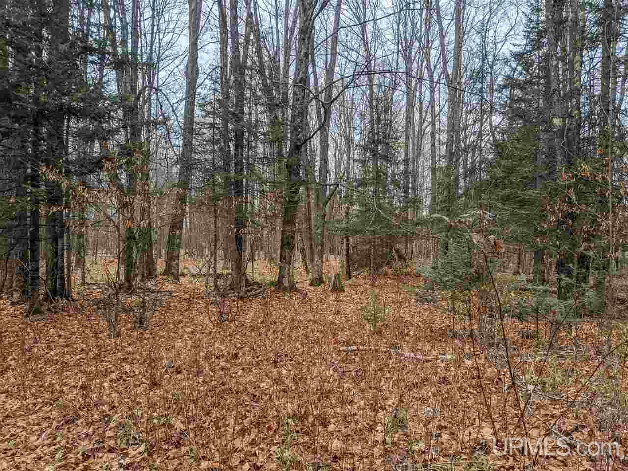 11851 Co Road Cornell, MI 49818 - Photo 42 of 49