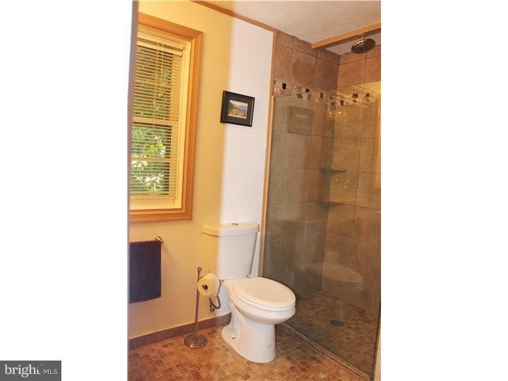 39 Rabbit Run Road Rose Valley, PA 19086 - Photo 15 of 25