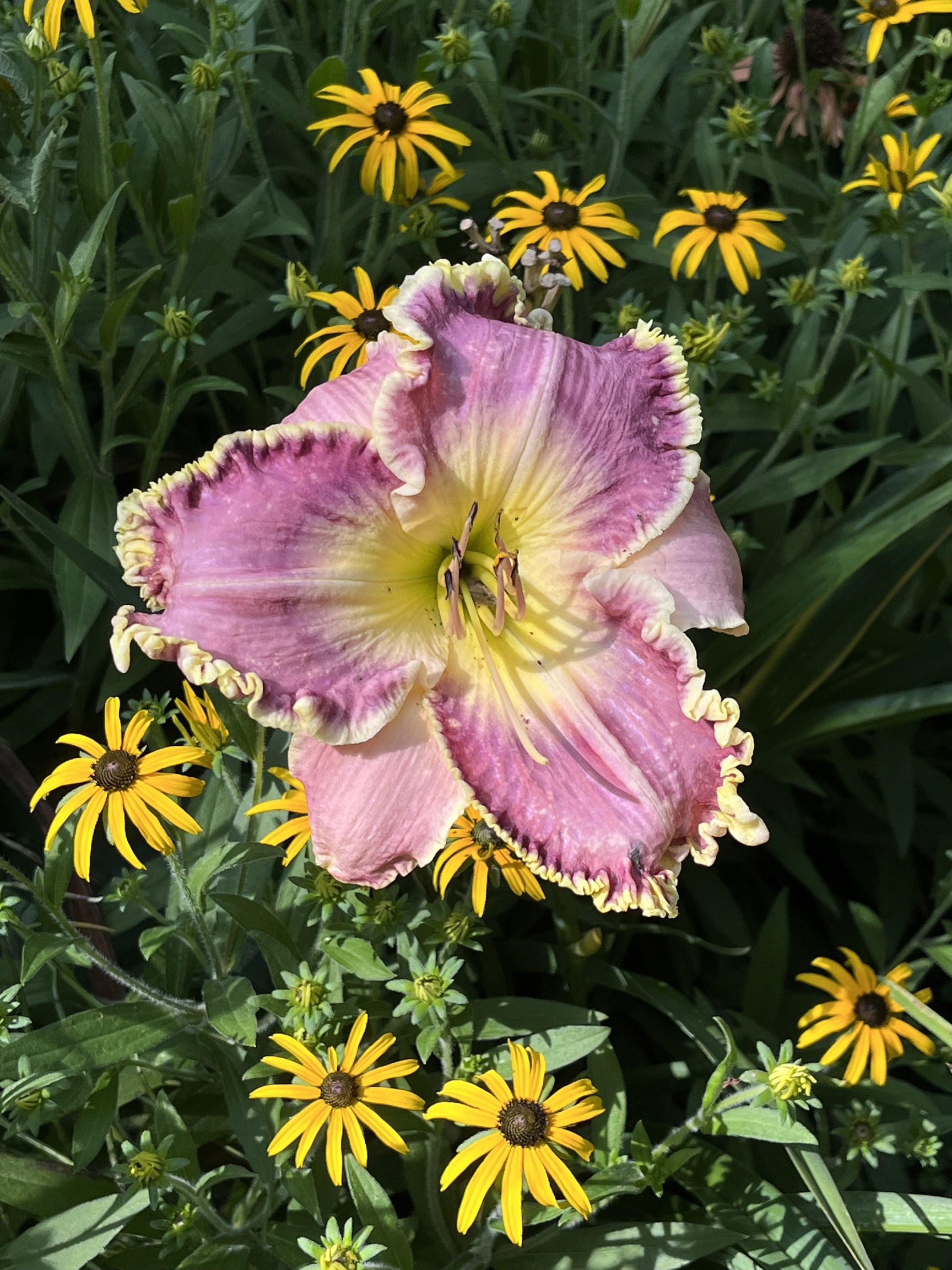 5042 Fall Creek Road Indianapolis, IN 46220 - Photo 50 of 58