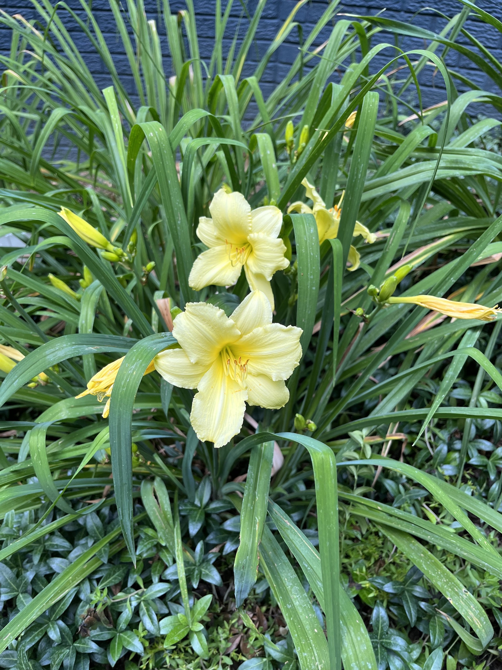 5042 Fall Creek Road Indianapolis, IN 46220 - Photo 54 of 58