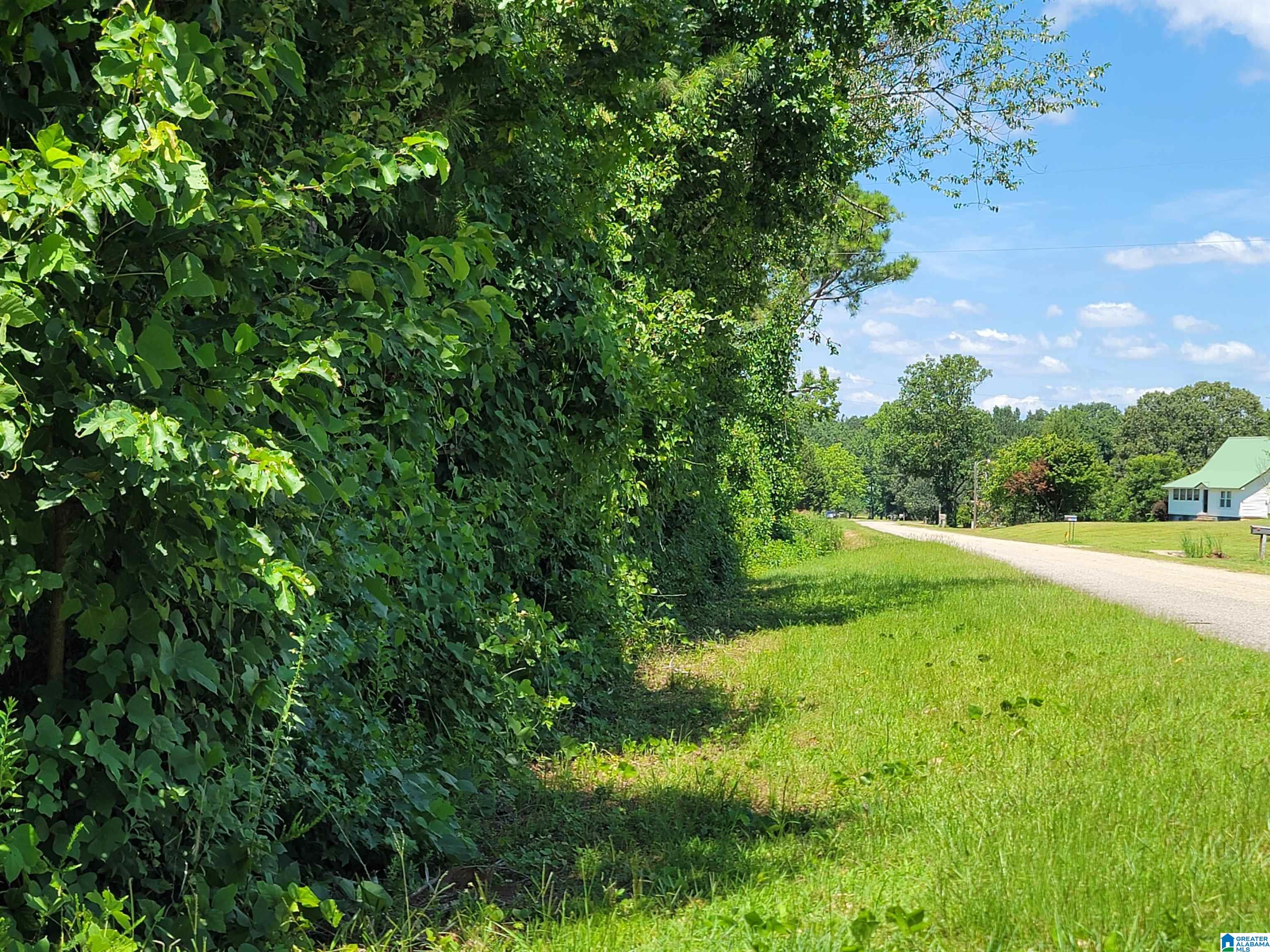0 County Road 66, Unit 6 ACRES Heflin, AL 36264 - Photo 6 of 6