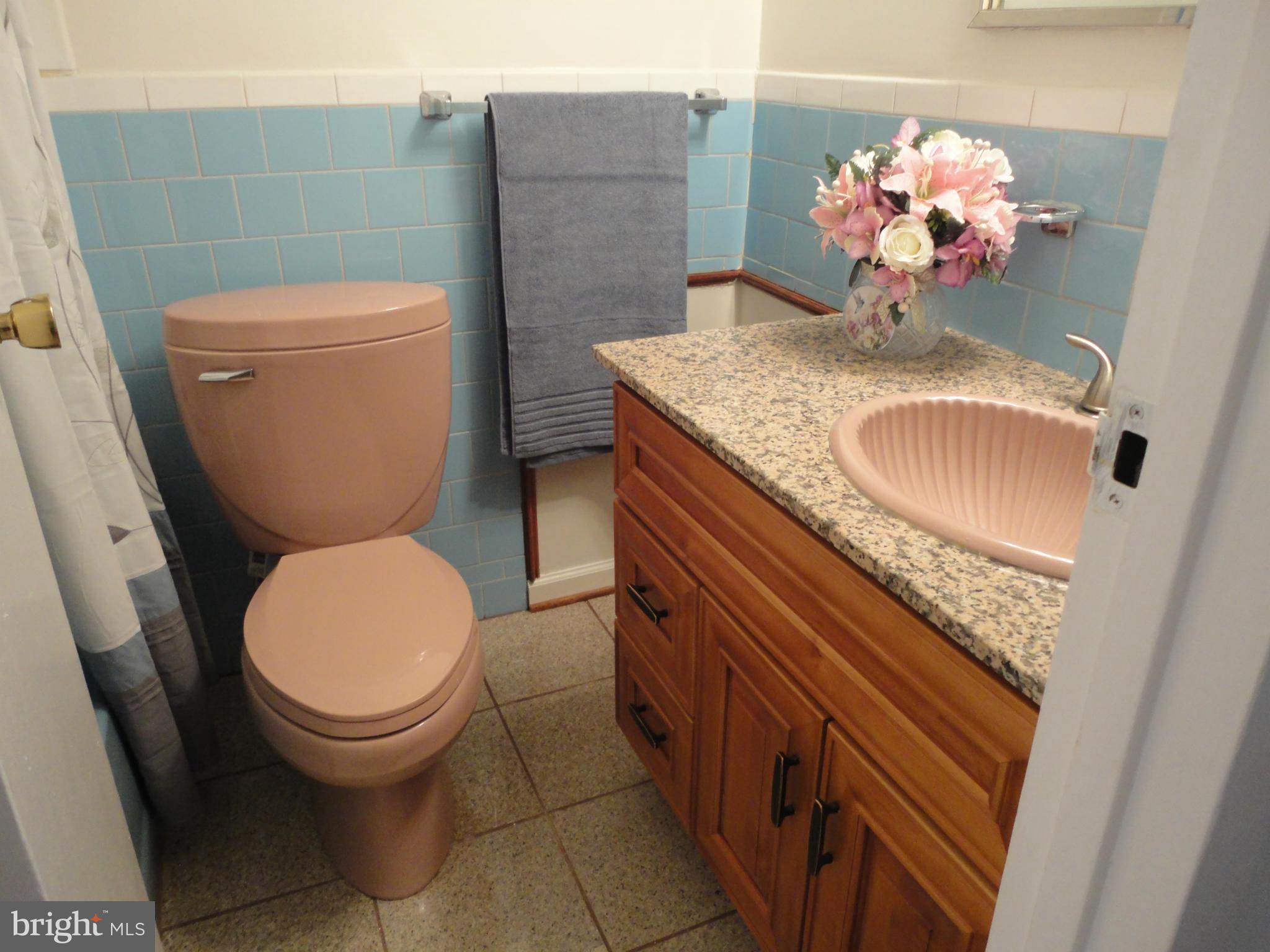 3842 Bel Pre Road, Unit 4140 Silver Spring, MD 20906 - Photo 4 of 19 Bath